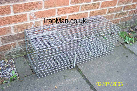 feral cat trap