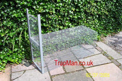 The Trap Man Humane Trap Live catch Fox cage Traps, Trapping Foxes