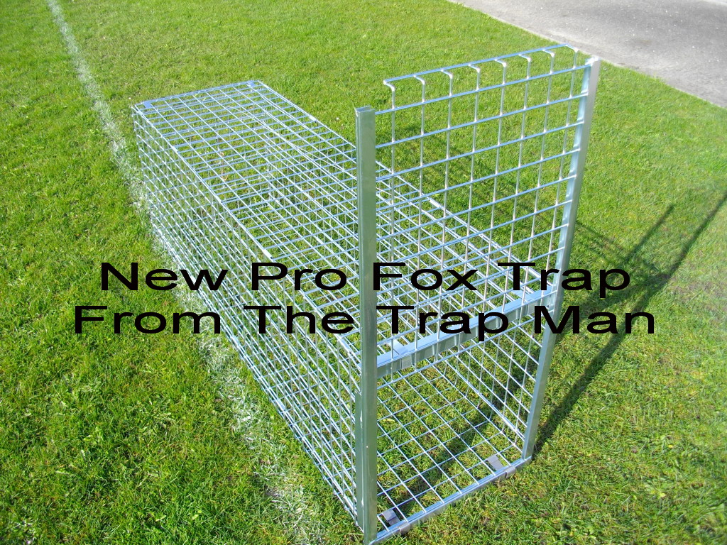 fox traps