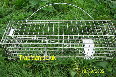 Pack of six squirrel traps