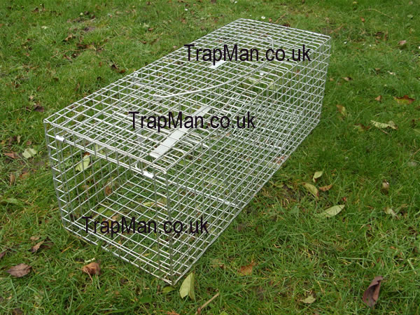 feral cat trap in the set position